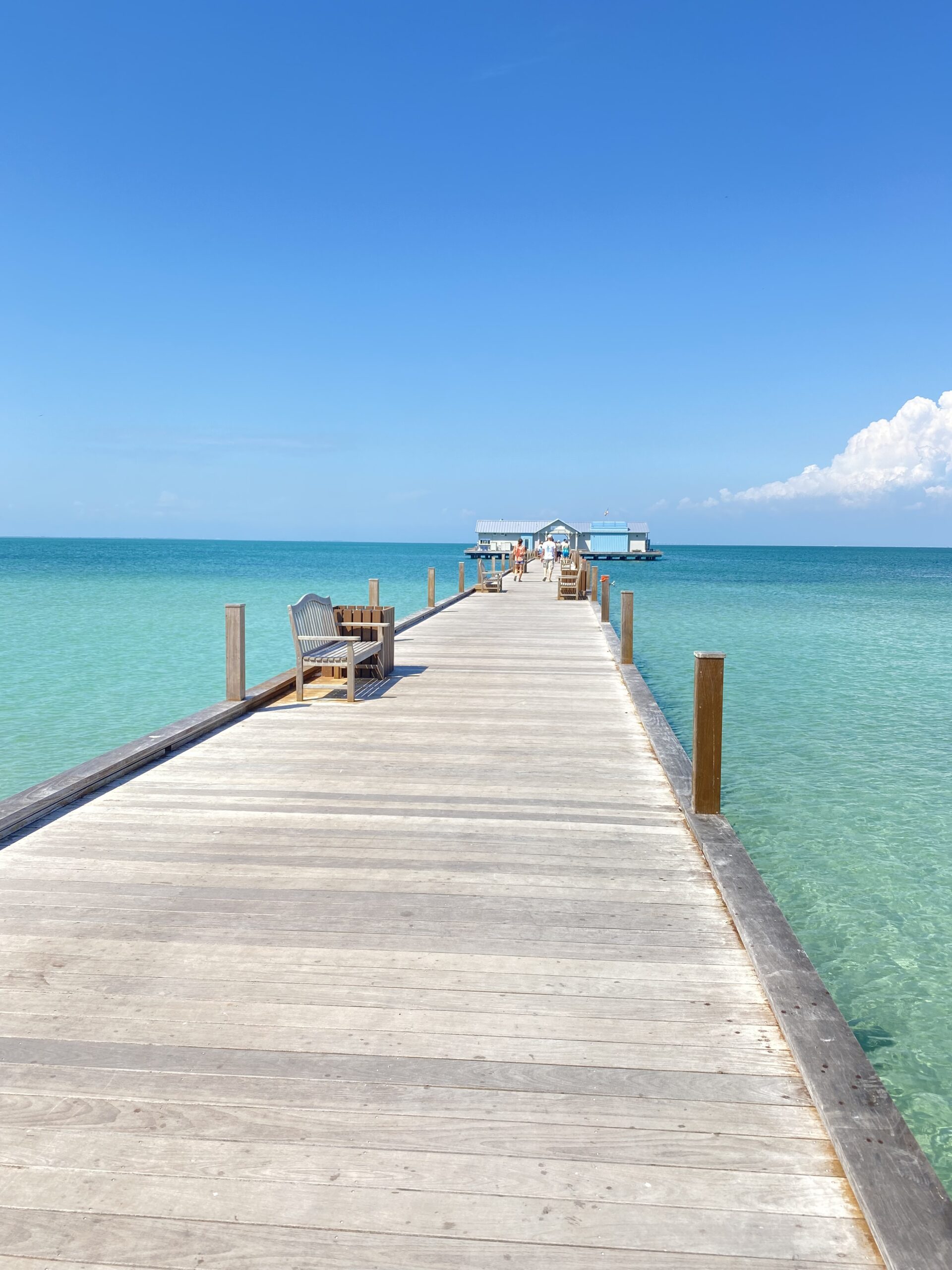 Long walk to Paradise