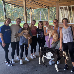 Sarah Bowlby goat yoga